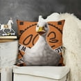 thumbnail image 2 of YINGXI Funny Goose Throw Pillow Covers case，I Do Not Feel Bonita，I Feel stressita 22x22in, 2 of 5