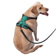 thumbnail image 2 of Balery Sushi Arnés para Perros Grandes Antitirones, Arnés con Correa para Gato, Arnés Tipo Chaleco para Perros Pequeños-Medium, 2 of 5