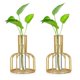 thumbnail image 1 of Juego de mini jarrones de cristal de 2 piezas jarrones pequeños de oro para decoración de mesa florero moderno Bud Hydroponic Feliz Sencillez, 1 of 5
