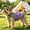 B, variant on Summer Pet Vest & Sun Hat Matching Set, Lightweight Breathable Puppy Outfit with Traction Ring, Cool Walking Apparel for Small Breed Dogs, Daily Outdoor Wear