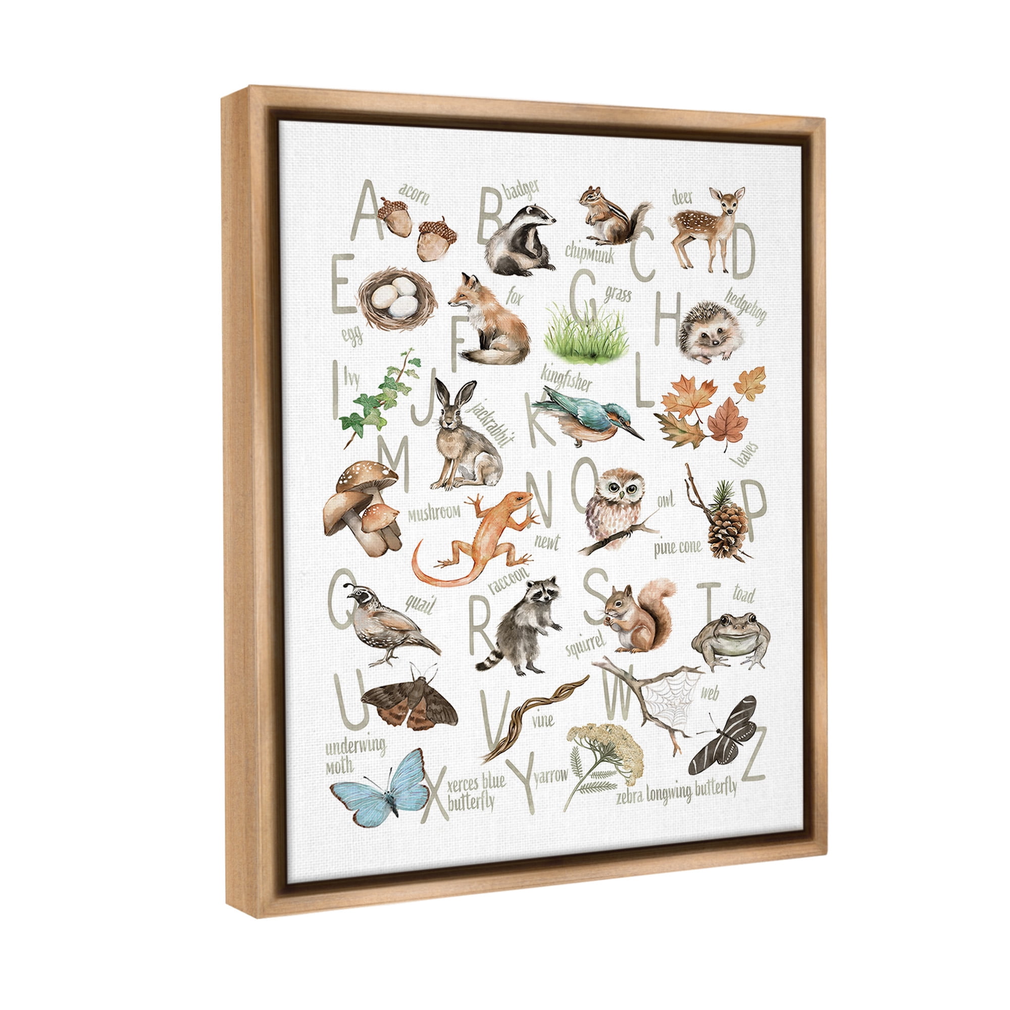 Stupell Industries Woodland Nature Alphabet Animals & Insects Painting Brown Floater Framed Canvas Art Print Wall Art, 17 x 21