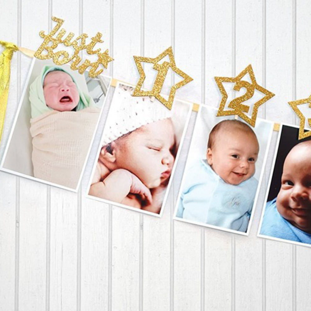 DIY Monthly 1St One Year Old Baby Photo Booth Birthday Party Banner Flag Decor 
