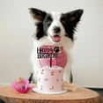 thumbnail image 3 of fastboy Happy Birthday Dog Pet Cake Plaque, 3 of 9