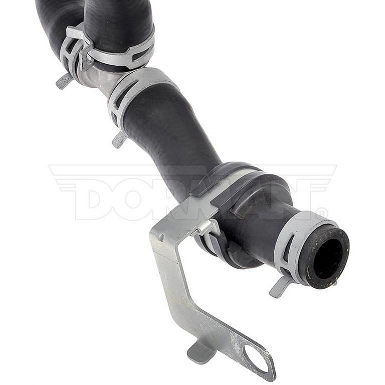 Hemi.　0908 07436529-1023747.jpg