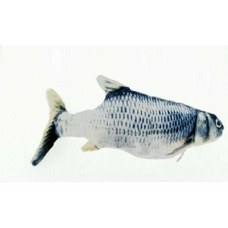 Flopping fish 2024 cat toy
