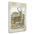 thumbnail image 2 of Tangletown Fine Art 'Woodland Stag I' by Wild Apple Portfolio Graphic Art on Wrapped Canvas, 2 of 2