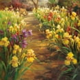 thumbnail image 2 of Oxley, Vail 26x26 White Modern Wood Framed Museum Art Print Titled - Iris Pathway, 2 of 4