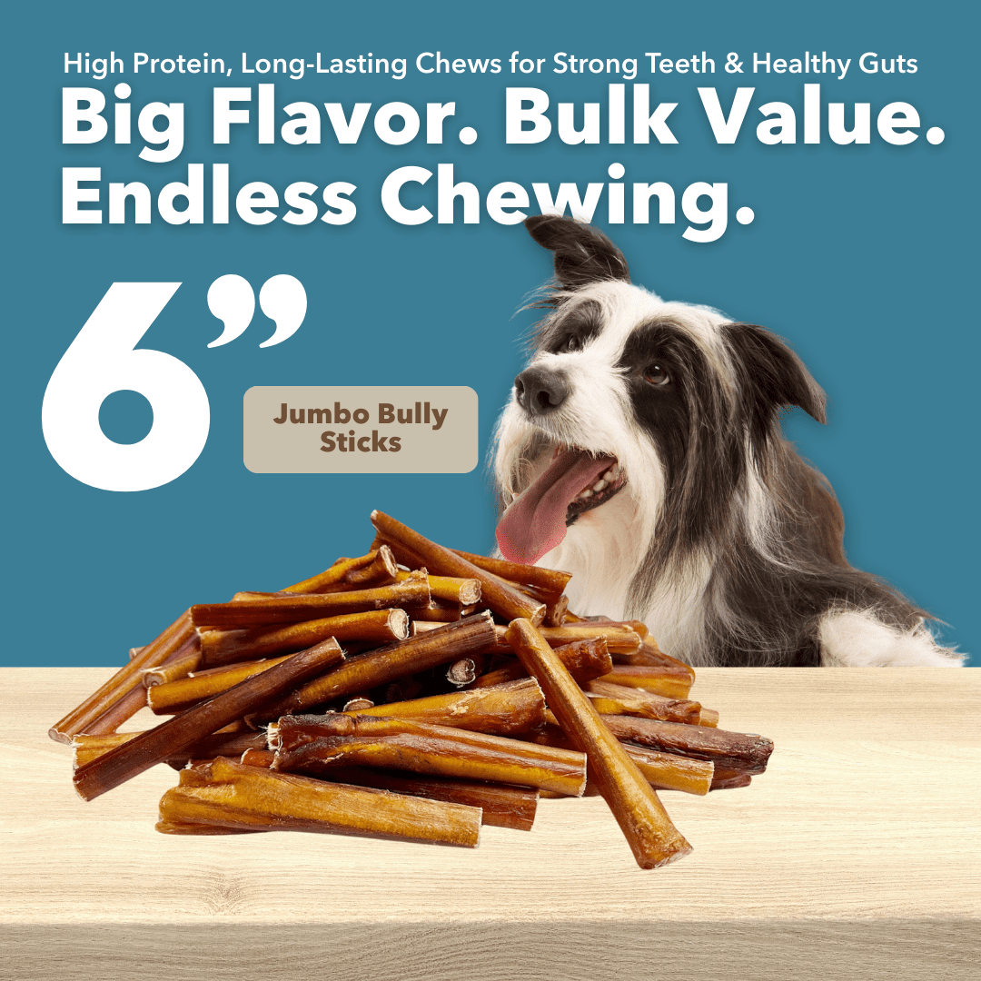 6" Jumbo Bully Sticks