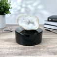 thumbnail image 3 of Plymor Black Acrylic Round Cylinder Display Riser, 2" H x 5" D (2 Pack), 3 of 3