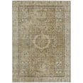 thumbnail image 2 of Addison Rugs Chantille Indoor/Outdoor Traditional Border Brown Machine Washable Rectangle Rug, 5' x 7'6", 2 of 7