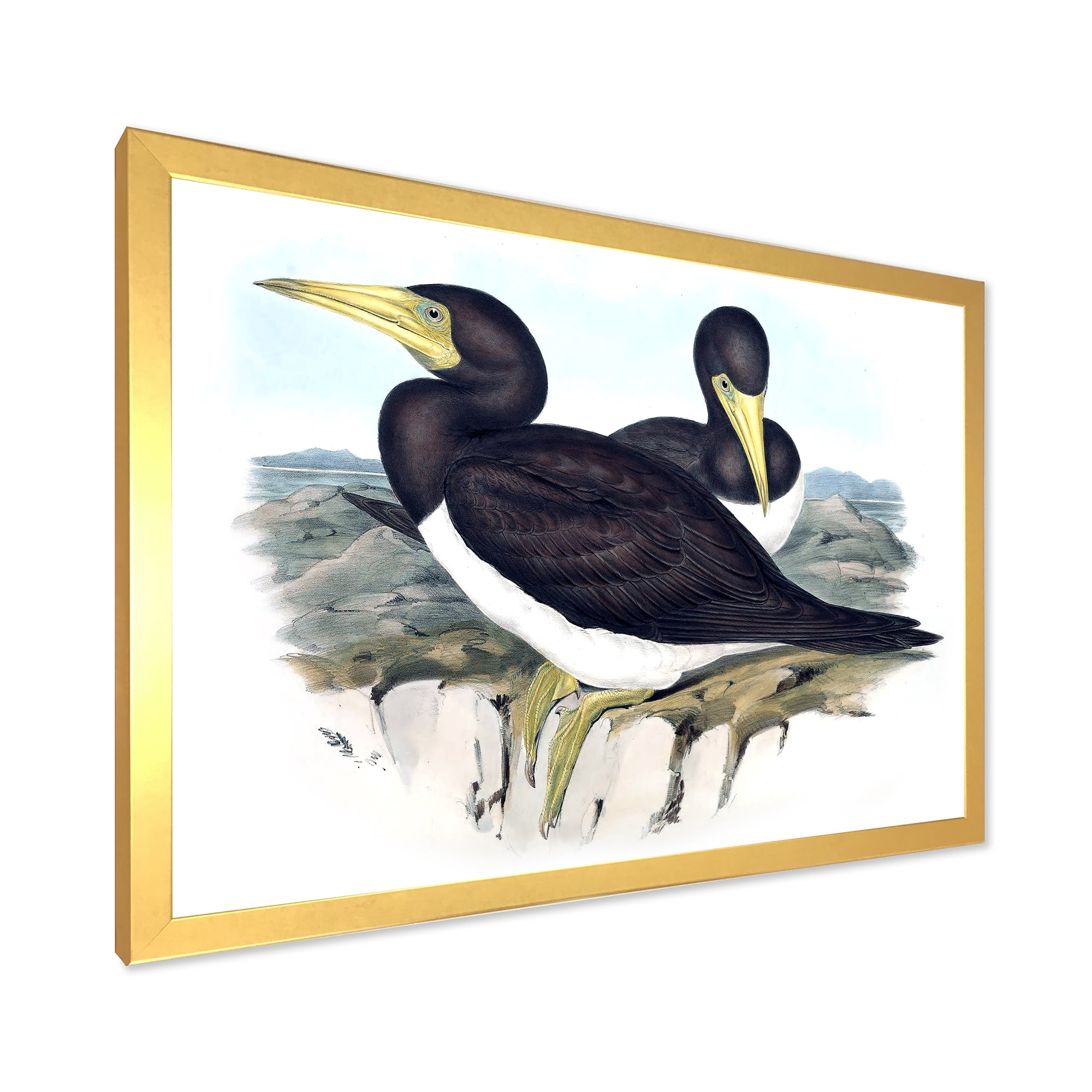 Designart 'Ancient Australian Birds XII' Traditional Framed Art Print