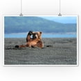 thumbnail image 2 of Grizzly Bear Waving (9x12 Wall Art Print, Home Decor), 2 of 3
