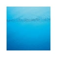 thumbnail image 1 of CARIBOU SUDDENLY COMPACT DISCS, 1 of 4