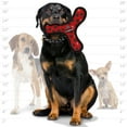 thumbnail image 5 of Tuffy Ultimate Boomerang Red Paw Durable Plush Squeaky Dog Toy, 5 of 8