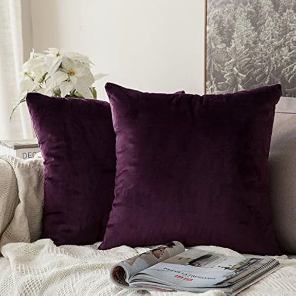 Eryueer Pack of 2 Velvet Soft Decorative Square Throw Pillow Case Cushion Covers Luxury Pillowcases for Livingroom Sofa Bedroom with Invisible Zipper 50 x 50cm 20x20 Inches Aubergine