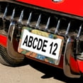 thumbnail image 5 of License Plate Frames Yellow And Pink Roses, Blue Violets License Plate Frame License Plate Shield Frame 2 Pieces Farmhouse Shabby Chic Orange Peony Stainless Aluminum License Plate Frame, 5 of 6