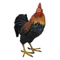 thumbnail image 5 of Rustic Western Proud Country Farm Colorful Chicken Rooster Figurine 5.25" Tall, 5 of 9