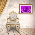 thumbnail image 3 of Stephen Chambers 18x13 Gold Ornate Wood Framed With Double Matting Wall Art Titled - Flower8, 3 of 6