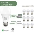 thumbnail image 3 of Bombillas LED evelor A19 13W 1500 lm 5000K base E26, 3 of 8