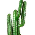 thumbnail image 2 of Vickerman 45" Artificial Green Finger Cactus in 8" Black Pot., 2 of 5
