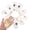 5"-6", variant on Sinkoo 10Pcs Oyster Shells Flat 3"-4" Medium Oyster Shells for Crafts Natural Oyster Shells Bulk, for Home Vase Filler, Xmas Ornaments, DIY Arts and Crafts Sea Shells