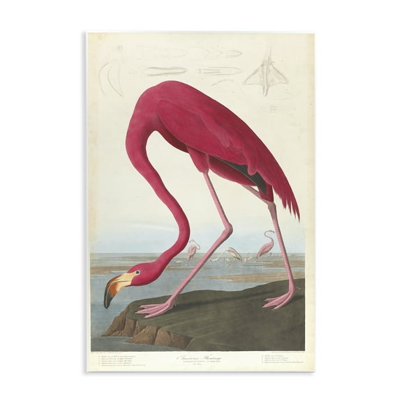 Stupell Industries Classic American Flamingo Animals Painting Unframed Art Print Wall Art, 10 x 15