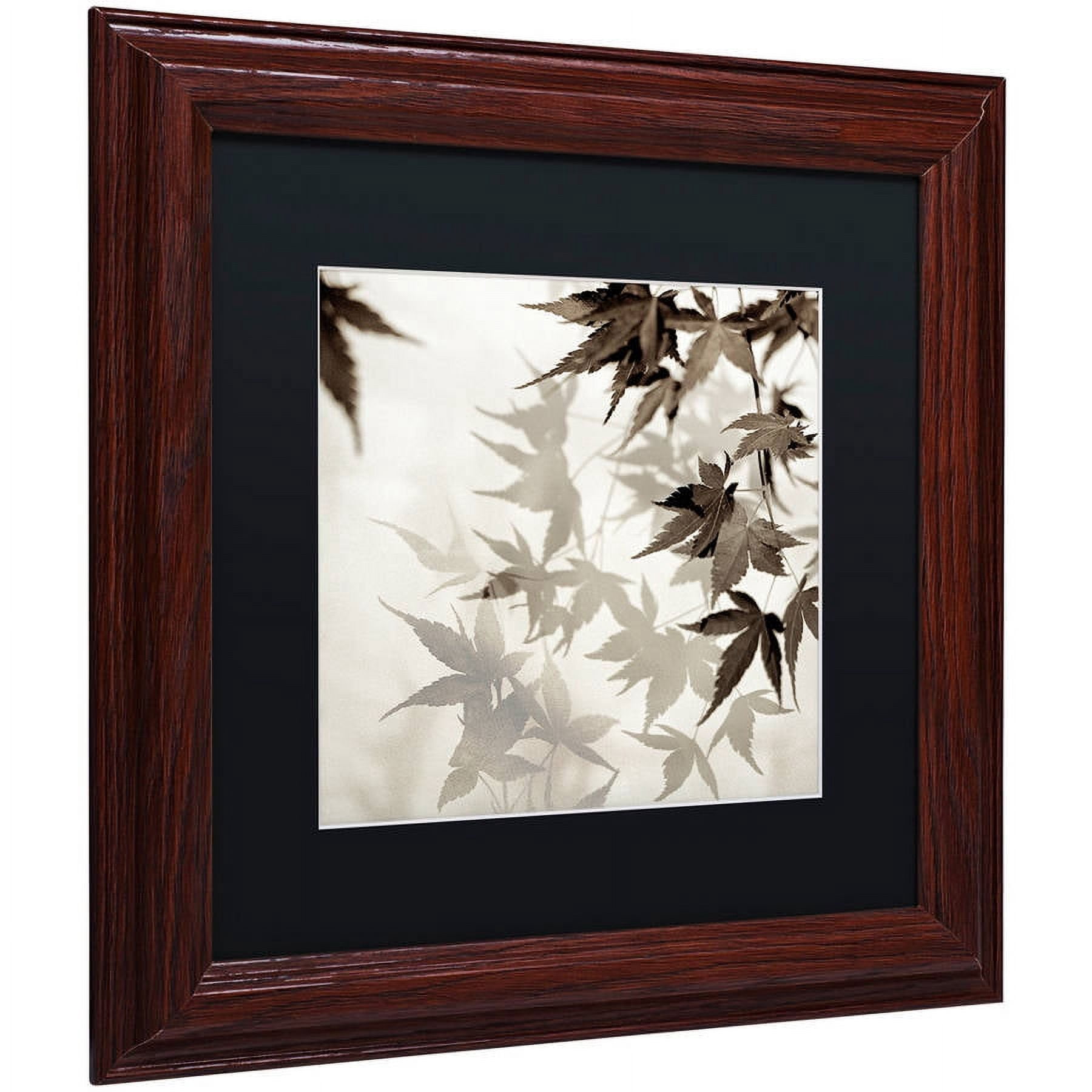 Trademark Fine Art "Florison 57" Canvas Art by Alan Blaustein, Black Matte, Wood Frame