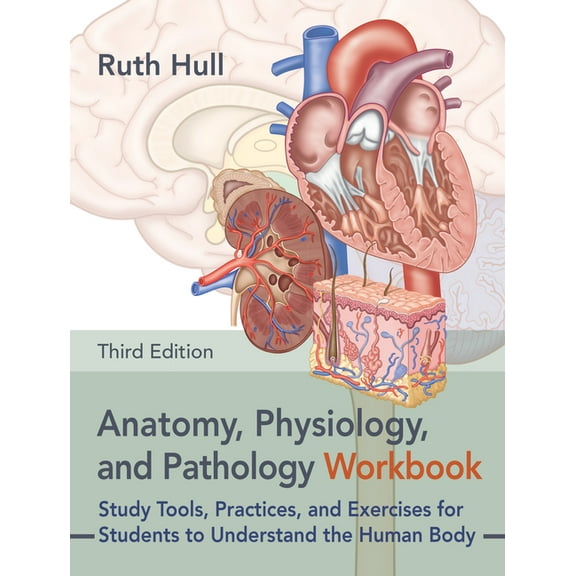Anatomy, Physiology, and Pathology Workbook, Third Edition : Study Tools, Practices, and Exercises for Students to Understand the Human Body (Paperback)