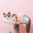 thumbnail image 5 of Reflective Escape-Proof Cat Vest Harness & Leash Set, L (8.8-16.5 lb), Mint & Orange, 5 of 6