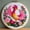 3, variant on Bird Needle Felting Set, Beginner Felt Painting Set, With Wool Felt Painting Set, Decorative Frame, Suitable for Home Decoration
