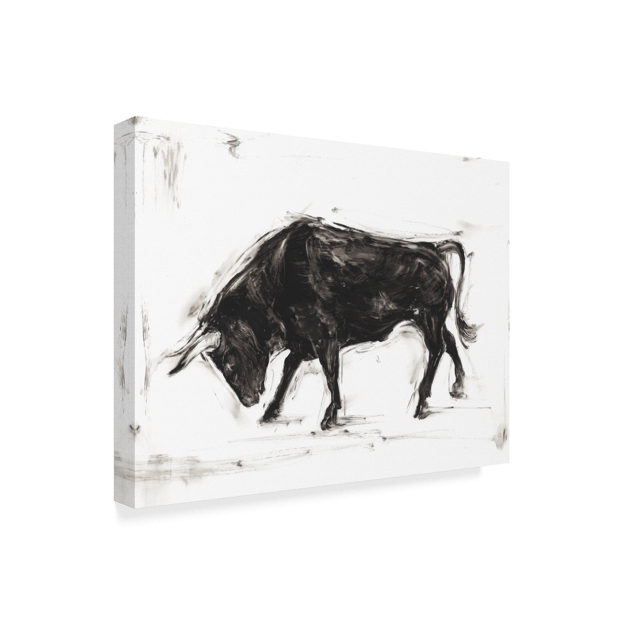 Trademark Fine Art 'Toro I' Canvas Art by Ethan Harper