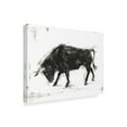 thumbnail image 2 of Trademark Fine Art 'Toro I' Canvas Art by Ethan Harper, 2 of 4