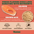 thumbnail image 4 of NATOO Dog Food Topper for Picky Eaters & Dog Treat (Salmon & Brown Rice), Wet Meal Enhancer for Adults & Puppies, Limited Ingredient, 3 oz (Case of 20), 4 of 8
