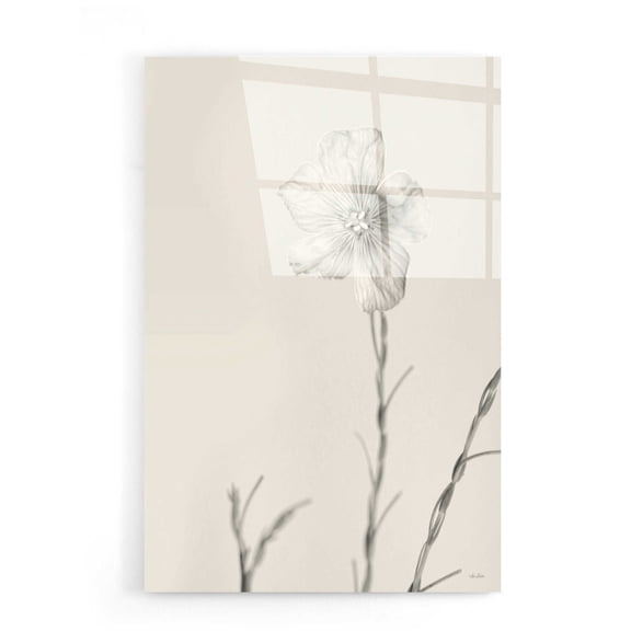 Epic Art 'Faded Flower III' by Lori Deiter, Acrylic Glass Wall Art, 16"x24"