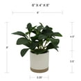 thumbnail image 6 of Mainstays by Becky G. & Alejandra 8" Artificial Peperomia in White Two-Tone Ribbed Ceramic Pot, 6 of 9