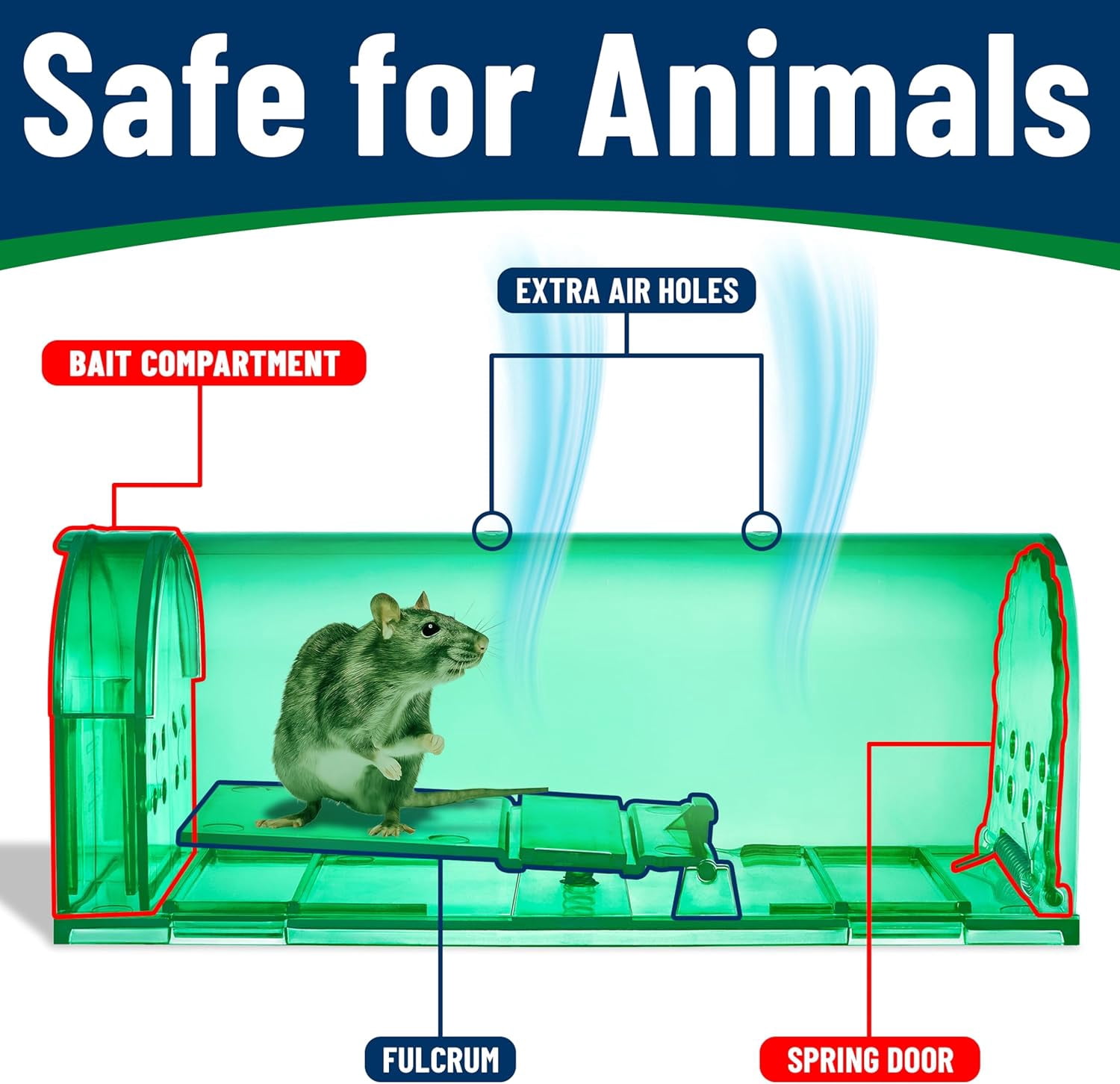 Campior Humane No-Kill Mouse Trap, Large, Indoor, Child & Pet Safe, Easy to Clean, 6-Pack, Green