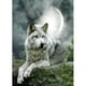 thumbnail image 1 of Taladro diamante pintura (DE2935) 5D DIY montaña completa lobo punto de cruz bordado 50x70cm Hugtrwg Para estrenar, 1 of 1