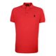 thumbnail image 1 of Playera Polo Club Of Berkshire. Varios Colores Y Tallas, 1 of 3