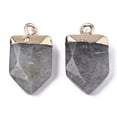thumbnail image 2 of Natural Labradorite Pointed Pendants with Light Gold Plated Top and Brass Loop Arrow Faceted 19x10.5x4.5mm Hole: 1.8mm, 2 of 2