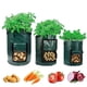 thumbnail image 2 of Paquete de 6 bolsas de cultivo de 7 galones, macetas de cultivo para patatas, fresas, tomates, zanahorias y otras verduras, contenedor de jardín, 2 of 5
