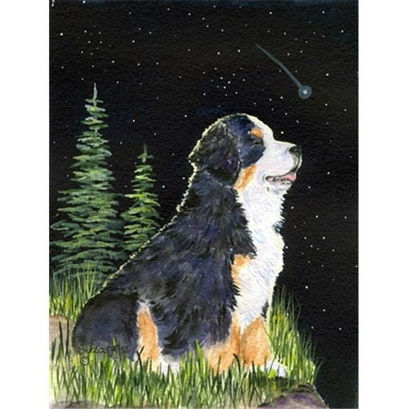 Starry Night Bernese Mountain Dog Canvas Flag - House Size, 28 x 40 in.