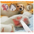 thumbnail image 4 of 2025 Nouveau Tondeuse pour Pattes de Chien Améliorée – Silencieuse et Efficace avec Lumière LED, 4 of 5