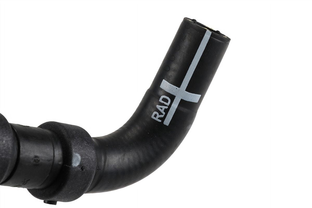 Radiator Surge Tank Inlet Hose