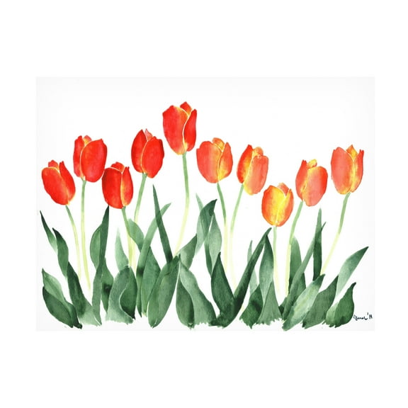 Trademark Fine Art 'Tulips' Canvas Art by Nicky Kumar