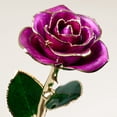 thumbnail image 5 of Yonktoo Gold Dipped Rose - Real Rose Preserved in 24K Gold, Forever Gift Rose for Her, Mother's Day, Valentine's Day, Anniversary, Birthday - Romantic Gift for Wife, Mom, Girlfriend - Purple, 5 of 6
