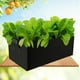 thumbnail image 3 of 6 Piezas de Tela de Fieltro Rectangular Bolsas de Maceta Contenedor de Plantación Material Ecológico kusrkot Bolsas de cultivo de patatas, 3 of 8