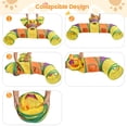 thumbnail image 4 of PETIZER Collapsible Cat Tunnel, Tear-Resistant Interactive Pet Tube Toy with Dangling Ball for Indoor Cats, Kittens & Small Pets, 4 of 7