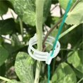 thumbnail image 4 of 400/600pc Clip De Planta De Plástico Asegurado, Clips De Jardín Para Plantas Trepadoras, Clips De Plástico Clips De Soporte De Plantas Tomate Uva Vid Vegetales Clips De Fijación De Plantas, 4 of 8