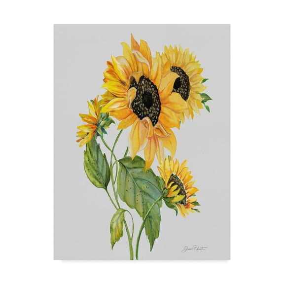 Trademark Fine Art 'Botanicals 10' Canvas Art by Jean Plout