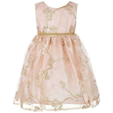 

Blueberi Boulevard Baby Girls Floral Embroidered Party Dress Size 3/6 Months: 3
